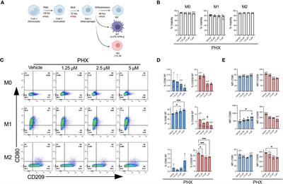 Proteomic characterisation of perhexiline treatment on THP-1 M1 macrophage differentiation